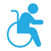 NDIS Logo
